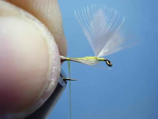 Blue-Winged Olive Catskill