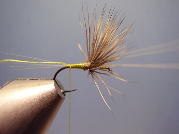 Blue-Winged Olive Comparadun