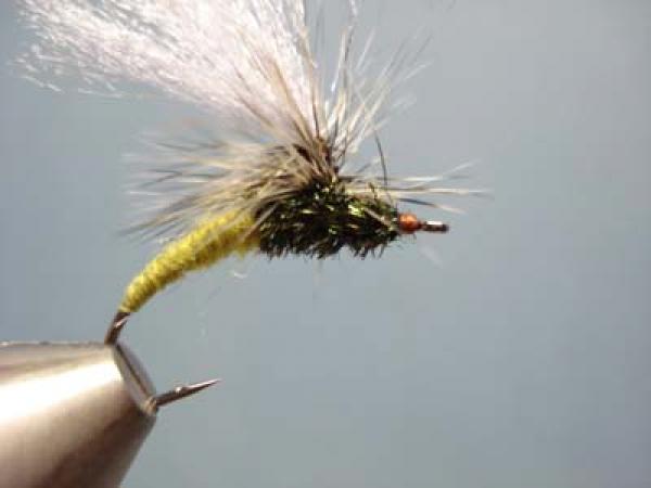 Olive Klinkhamer Special