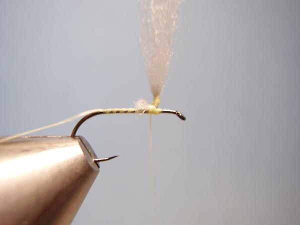Sulphur Parachute