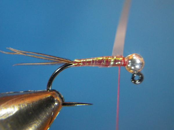 Egan's Pearl Rainbow Warrior