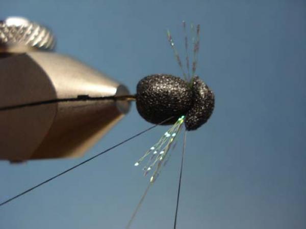 Foam Beetle