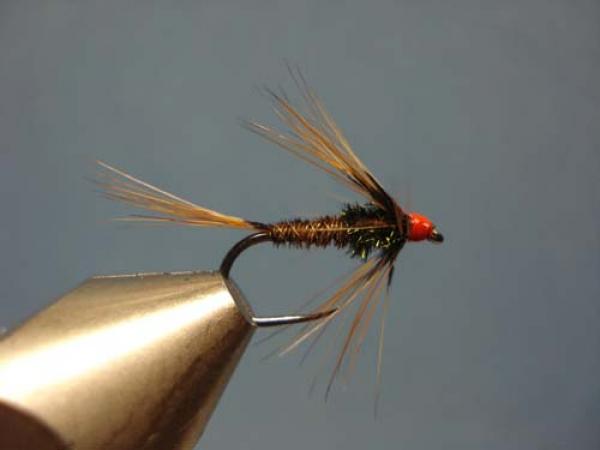 Pheasant Tail Cruncher