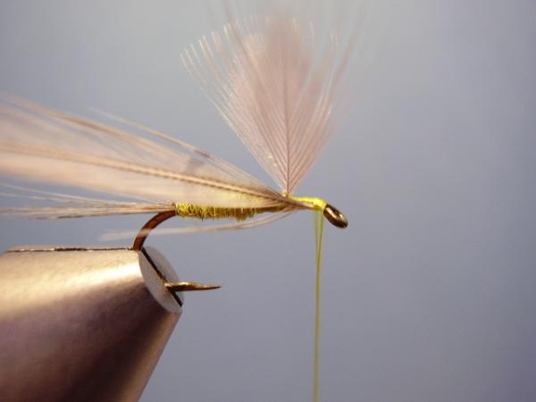 Blue-Winged Olive Catskill