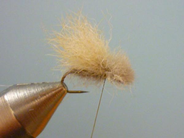 LW's Q-Tip