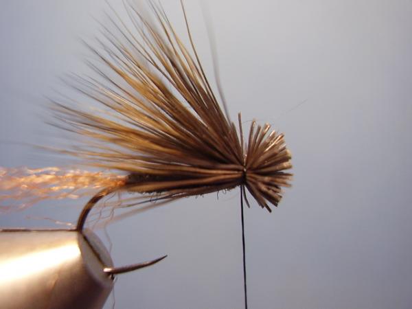 Grannom X-Caddis