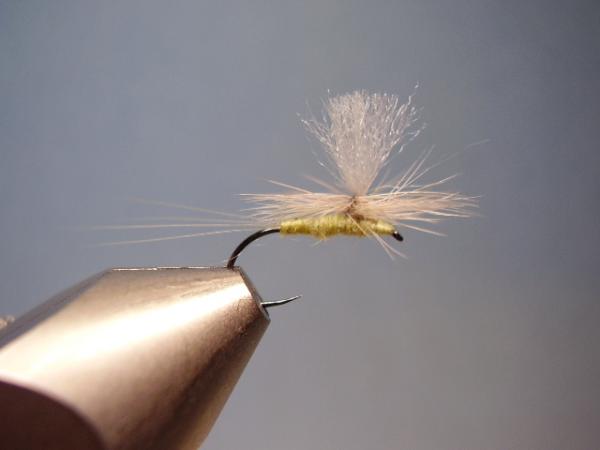 Sulphur Parachute
