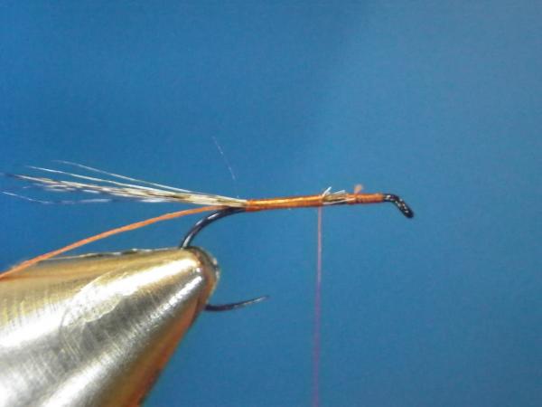 LW's Isonychia F-Plus