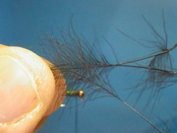 LW's Itchy