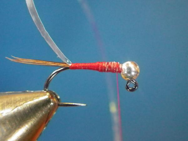 Egan's Pearl Rainbow Warrior