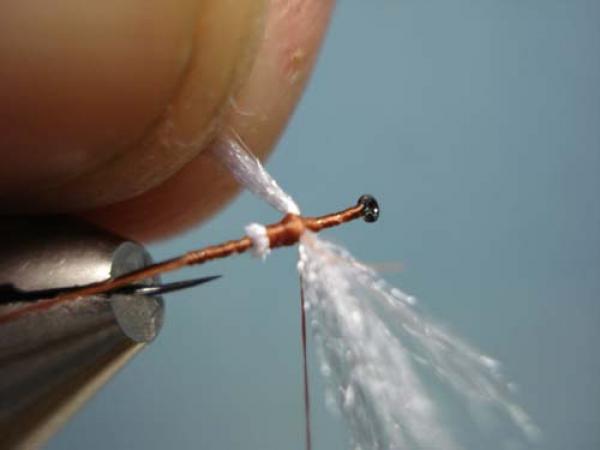 Poly Wing Rusty Spinner