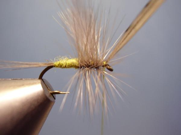 Blue-Winged Olive Catskill