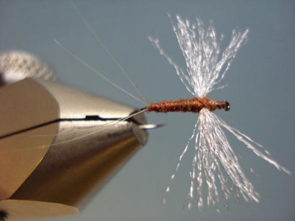 Poly Wing Rusty Spinner
