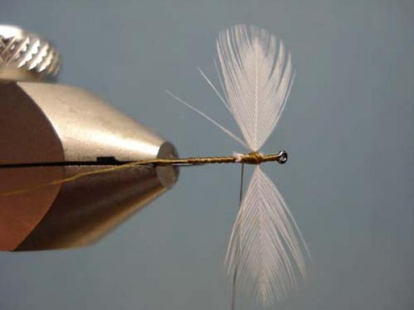 Hen Wing Sulphur Spinner