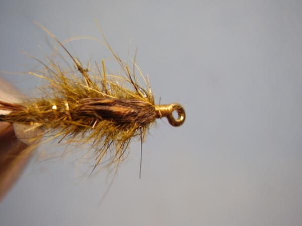 Olive Gold-Ribbed Hares Ear