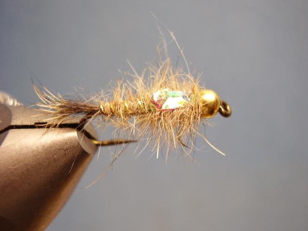 Olive Gold-Ribbed Hares Ear