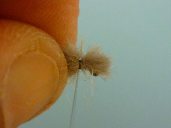 LW's Q-Tip