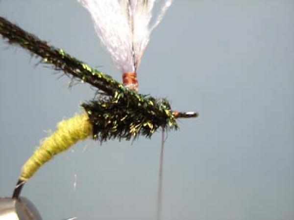 Olive Klinkhamer Special