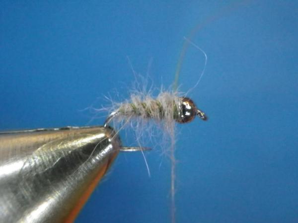 Modified Muskrat Nymph