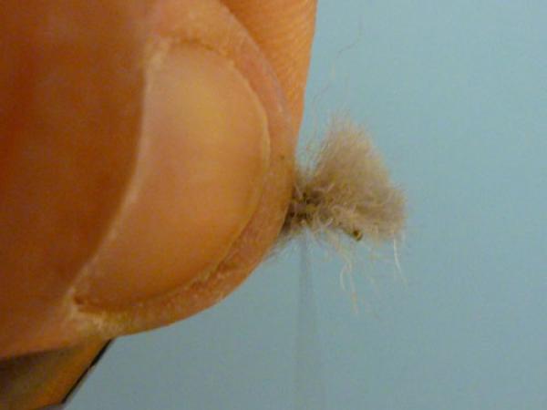 LW's Q-Tip