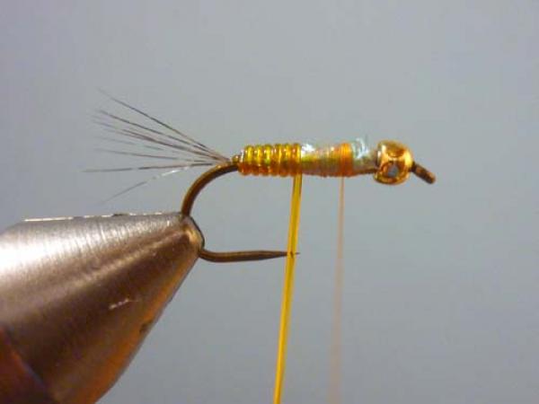 LW's Orange BB