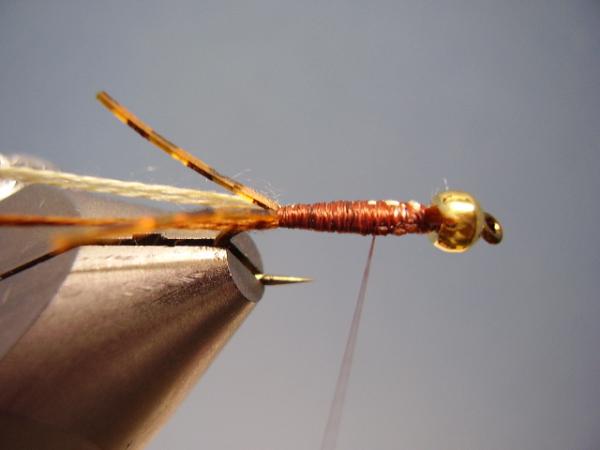 LW's Light Frontliner