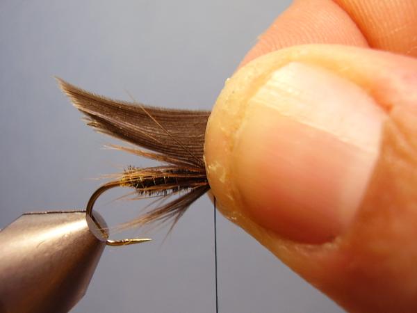Leadwing Coachman