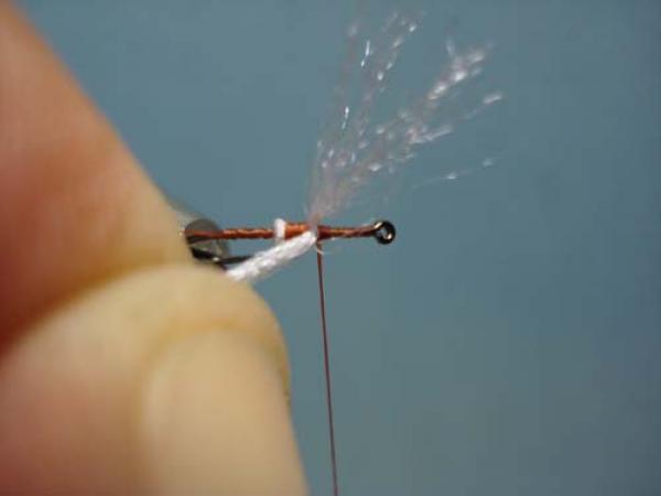 Poly Wing Rusty Spinner