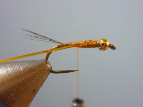 LW's Orange BB