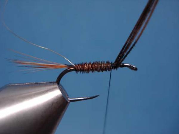 Pheasant Tail Cruncher