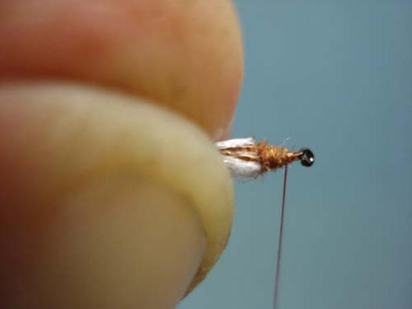 Poly Wing Rusty Spinner