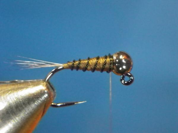 LW's Intestinal Bug