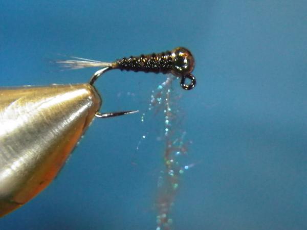 LW's Intestinal Bug