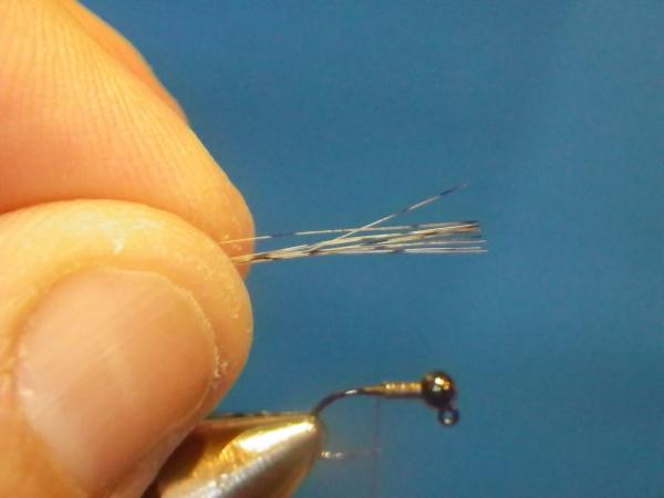 LW's Intestinal Bug