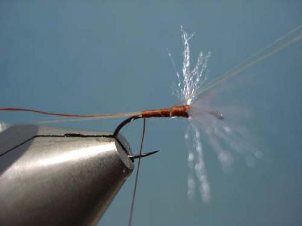 Poly Wing Rusty Spinner