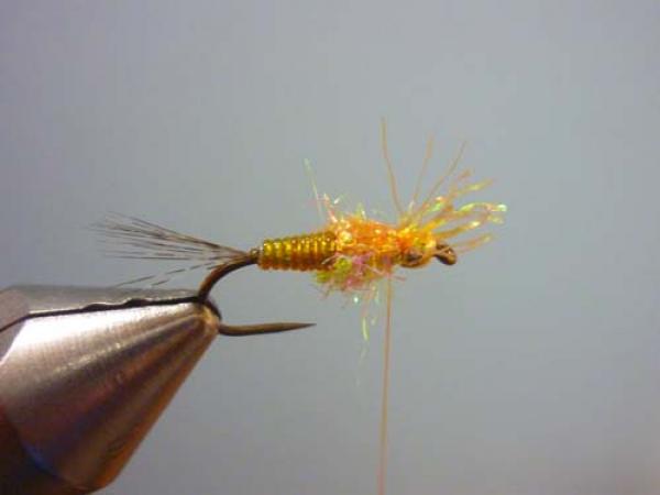 LW's Orange BB