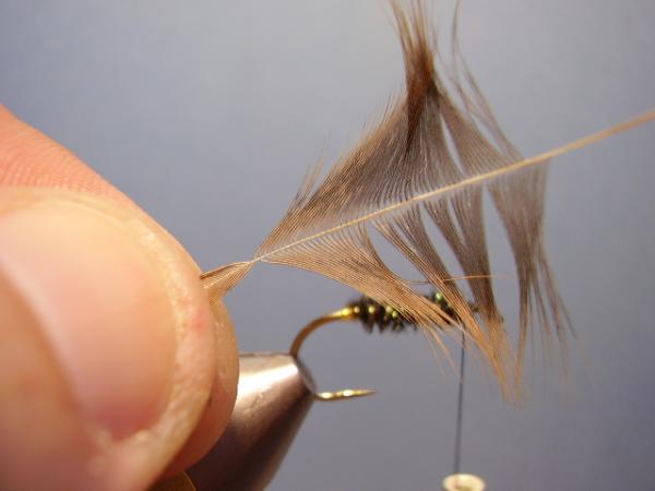 Leadwing Coachman