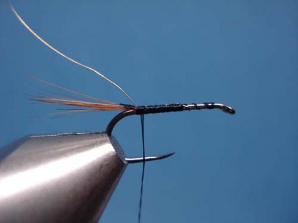 Pheasant Tail Cruncher