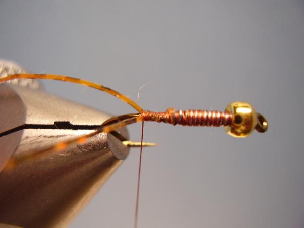 LW's Light Frontliner