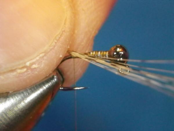LW's Intestinal Bug
