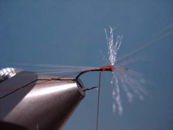 Poly Wing Rusty Spinner