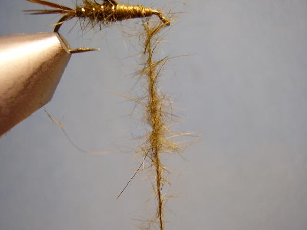 Olive Gold-Ribbed Hares Ear