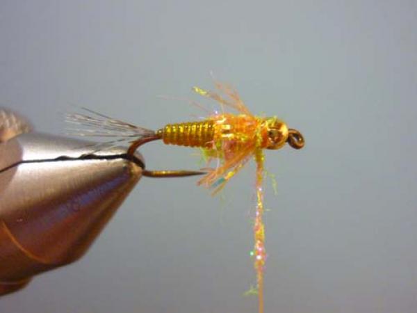 LW's Orange BB