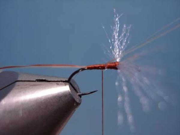 Poly Wing Rusty Spinner