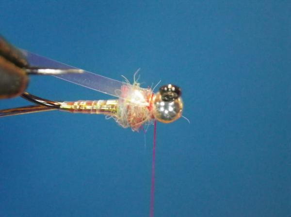 Egan's Pearl Rainbow Warrior
