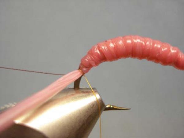 Vladi Worm