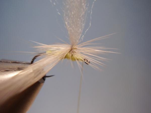 Sulphur Parachute
