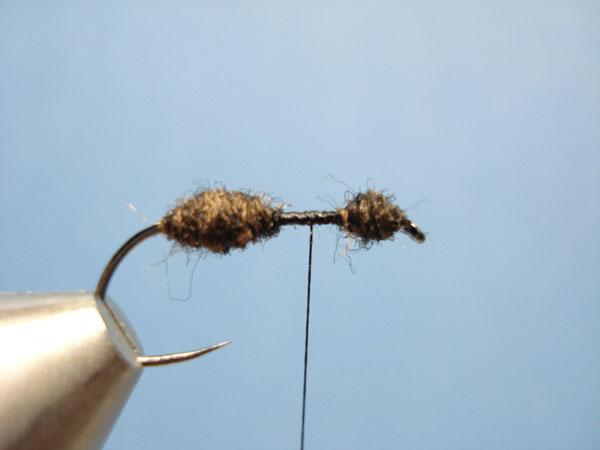 Black Fur Ant