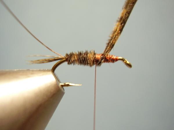 LW's Dark Quill Sulphur
