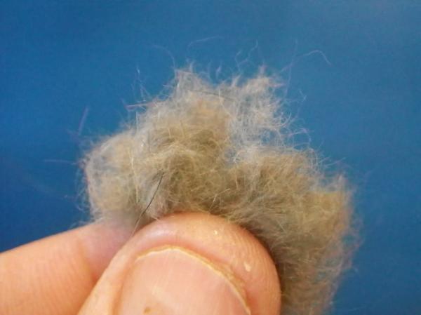 Modified Muskrat Nymph